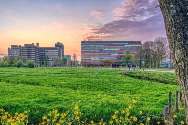 Lezing over de Uithof