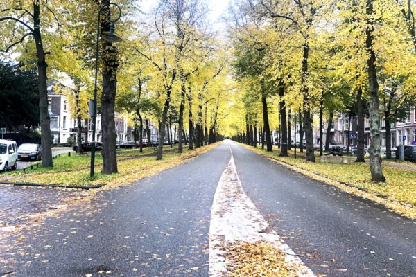 Maliebaan wordt fietspad