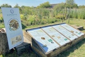 Expositie op Koningshof