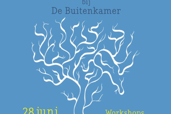 Festival Buitenknust