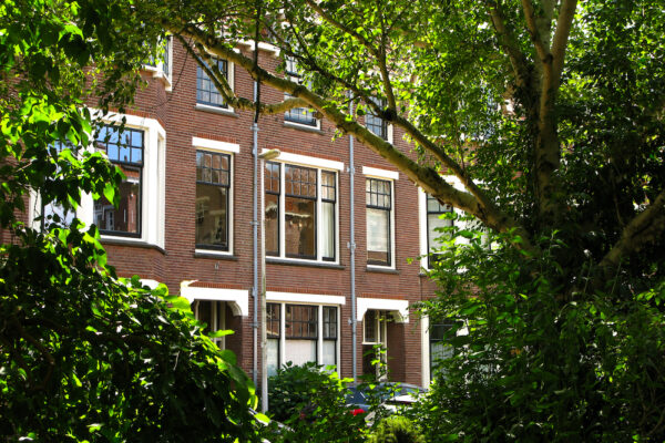 Oost in beeld